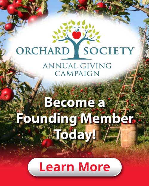 ER: An Evening of Revelry